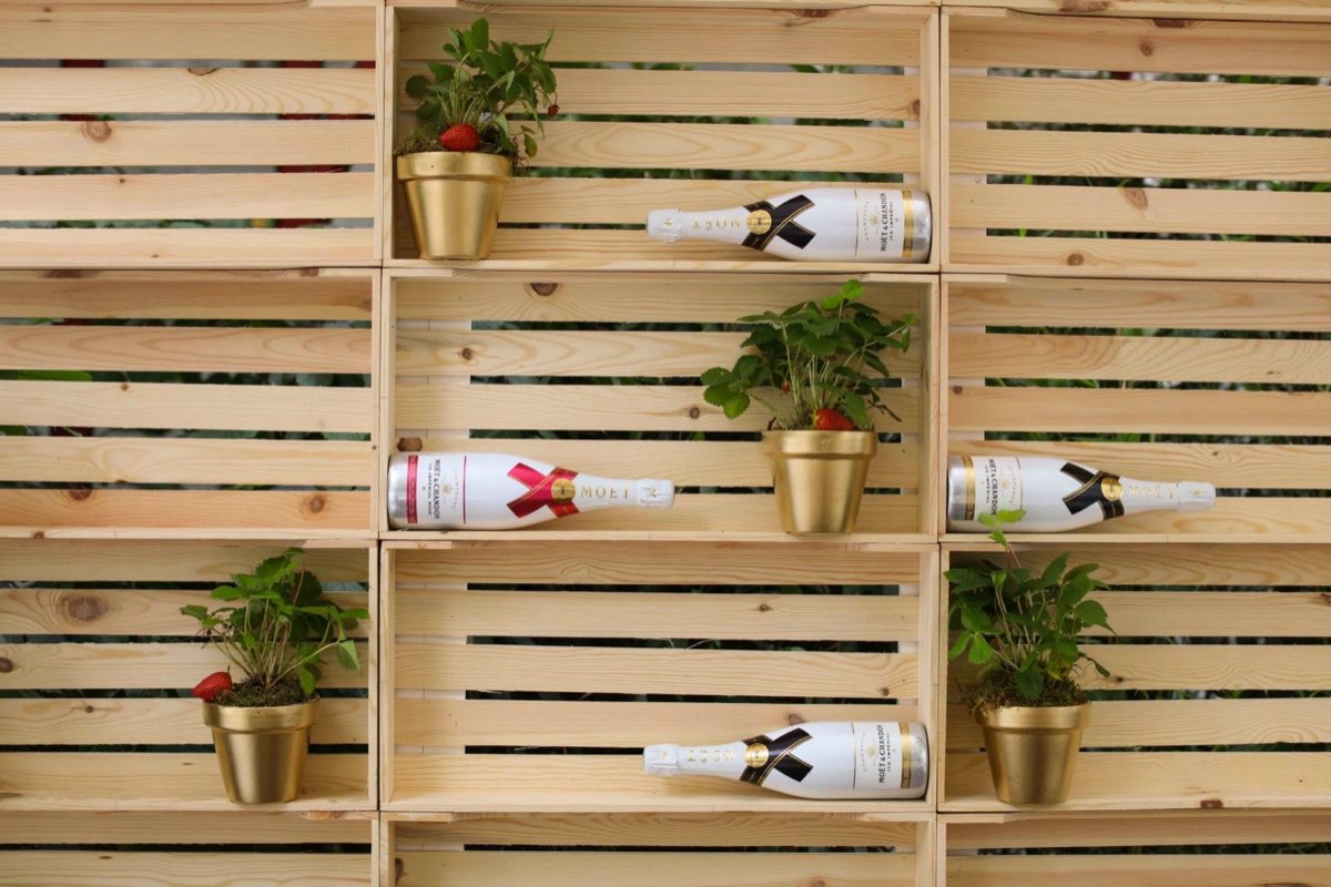 Projet Moët & Chandon Grand Vintage — visuel principal